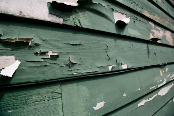 Siding Removal and Disposal in Springfield, NJ